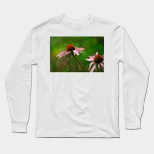 Cone Flower 1 Long Sleeve T-Shirt